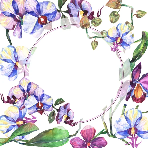 Kır çiçeği orkide çiçek çerçeve suluboya tarzında.