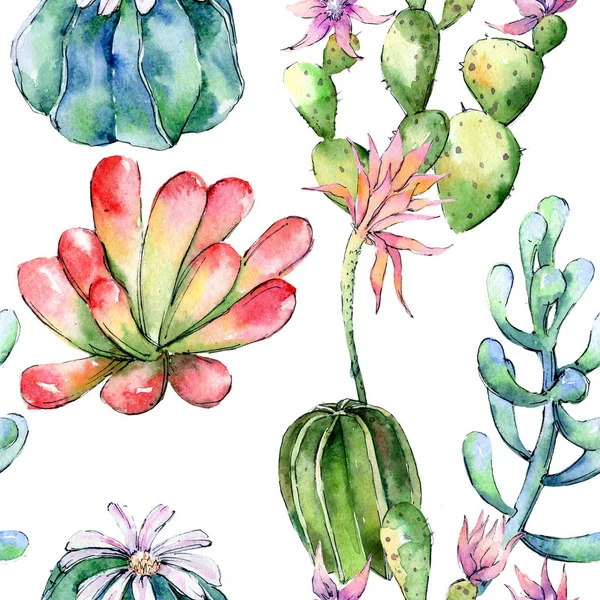 Kır çiçeği kaktüsler çiçek deseni suluboya tarzında.