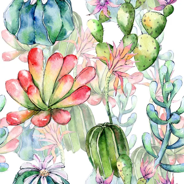 Wildflower cactuses flower pattern in a watercolor style. — Stock Photo, Image