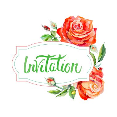 Kır çiçeği gül çiçek çerçeve suluboya tarzında.