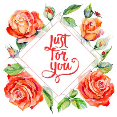 Kır çiçeği gül çiçek çerçeve suluboya tarzında.