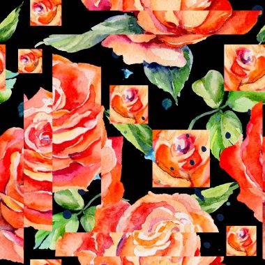 Kır çiçeği gül çiçek deseni suluboya tarzında.