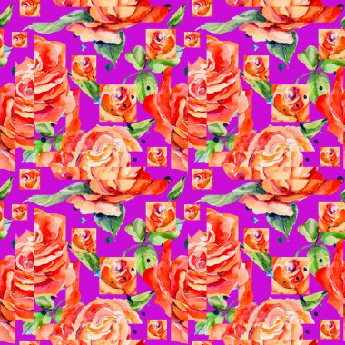 Kır çiçeği gül çiçek deseni suluboya tarzında.