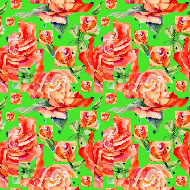 Kır çiçeği gül çiçek deseni suluboya tarzında.