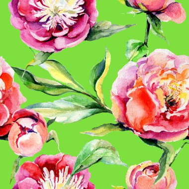 Kır çiçeği peony çiçek deseni suluboya tarzında.