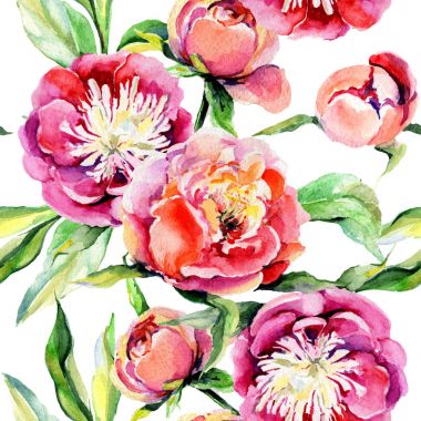 Kır çiçeği peony çiçek deseni suluboya tarzında.