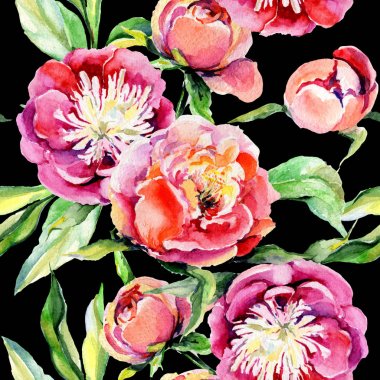 Kır çiçeği peony çiçek deseni suluboya tarzında.