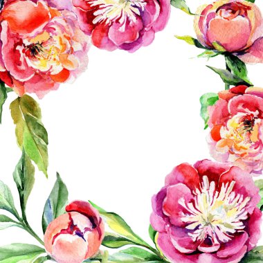 Kır çiçeği Şakayık çiçeği çerçeve suluboya tarzında.