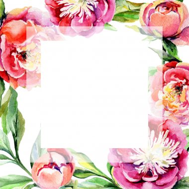 Kır çiçeği Şakayık çiçeği çerçeve suluboya tarzında.