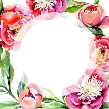 Kır çiçeği Şakayık çiçeği çerçeve suluboya tarzında.