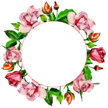 Kır çiçeği gül çiçek çerçeve suluboya tarzında.