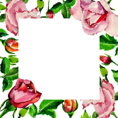 Kır çiçeği gül çiçek çerçeve suluboya tarzında.