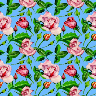 Kır çiçeği gül çiçek deseni suluboya tarzında.