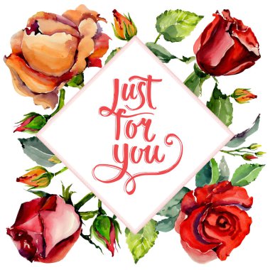 Kır çiçeği gül çiçek çerçeve suluboya tarzında.