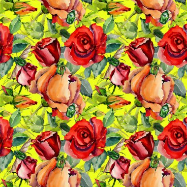 Kır çiçeği gül çiçek deseni suluboya tarzında.