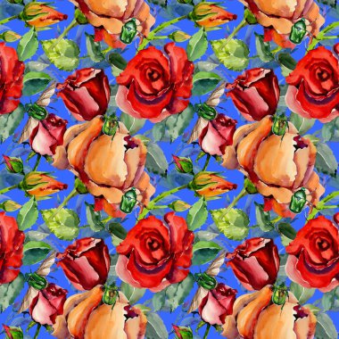 Kır çiçeği gül çiçek deseni suluboya tarzında.