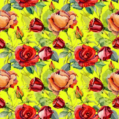 Kır çiçeği gül çiçek deseni suluboya tarzında.