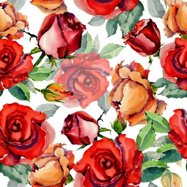 Kır çiçeği gül çiçek deseni suluboya tarzında.