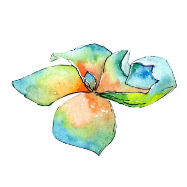 Tropikal Hawaii palmiye ağacı izole bir suluboya tarzında bırakır..