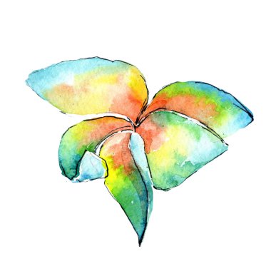 Tropikal Hawaii palmiye ağacı izole bir suluboya tarzında bırakır..