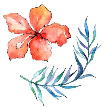 Tropikal Hawaii palmiye ağacı izole bir suluboya tarzında bırakır..