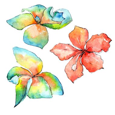 Tropikal Hawaii palmiye ağacı izole bir suluboya tarzında bırakır..