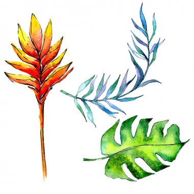 Tropikal Hawaii palmiye ağacı izole bir suluboya tarzında bırakır..