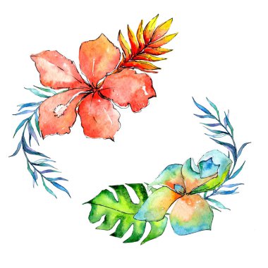 Tropikal Hawaii palmiye ağacı çelenk suluboya tarzında bırakır..