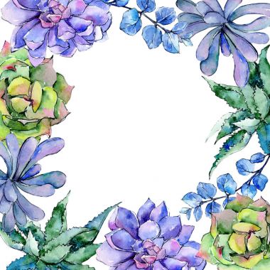 Tropikal Hawaii aloe ağaç kare bir suluboya tarzında bırakır..