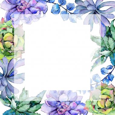 Tropikal Hawaii aloe ağaç kare bir suluboya tarzında bırakır..