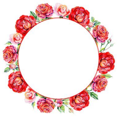 Kır çiçeği rosa çiçek çerçeve suluboya tarzında.