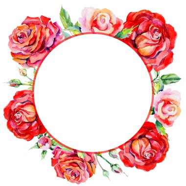 Kır çiçeği rosa çiçek çerçeve suluboya tarzında.