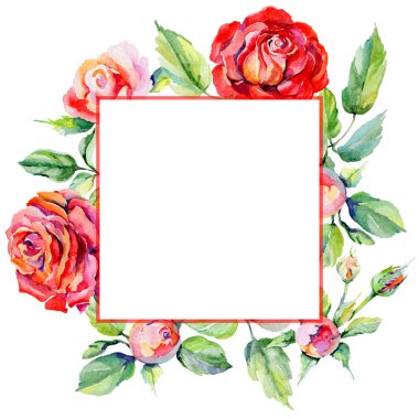 Kır çiçeği rosa çiçek çerçeve suluboya tarzında.