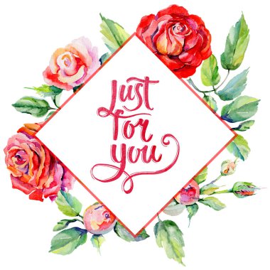 Kır çiçeği rosa çiçek çerçeve suluboya tarzında.