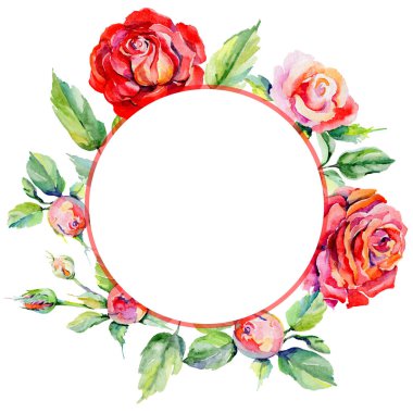 Kır çiçeği rosa çiçek çerçeve suluboya tarzında.