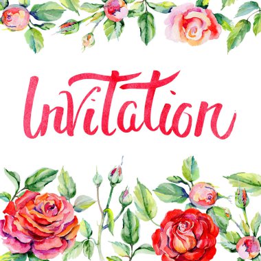 Kır çiçeği rosa çiçek çerçeve suluboya tarzında.