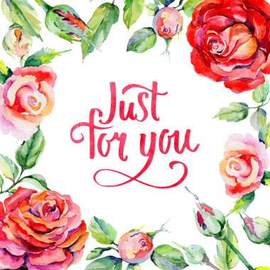 Kır çiçeği rosa çiçek çerçeve suluboya tarzında.