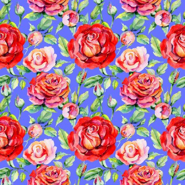 Kır çiçeği rosa çiçek deseni suluboya tarzında.