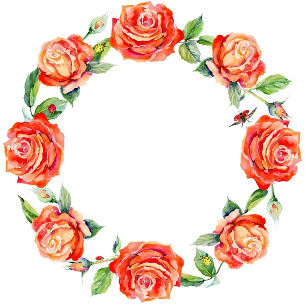 Kır çiçeği gül çiçek çelenk suluboya tarzında.