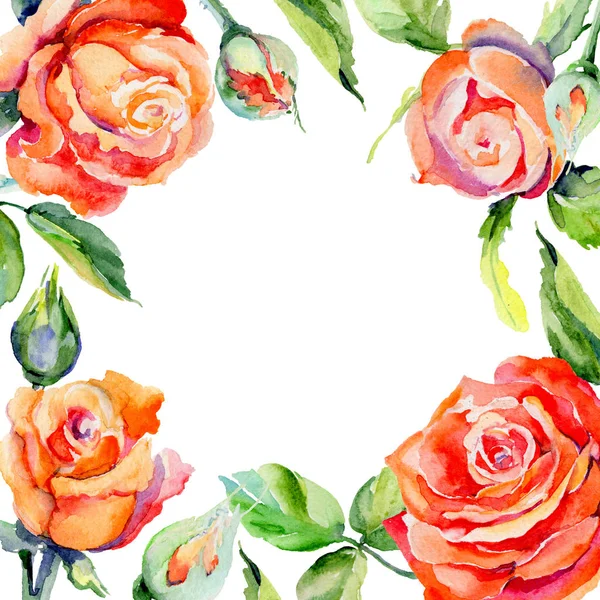 Wildflower rose flower frame in a watercolor style. — Stock Photo, Image