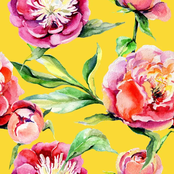 Wildflower peony flower pattern in a watercolor style. — Stock Photo, Image