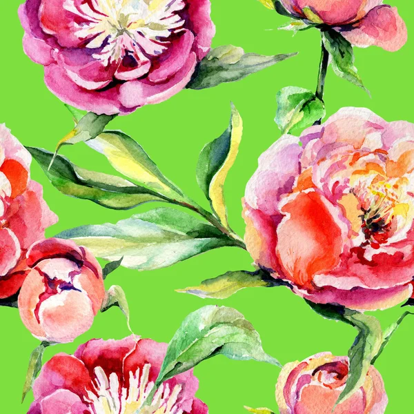 Kır çiçeği peony çiçek deseni suluboya tarzında.