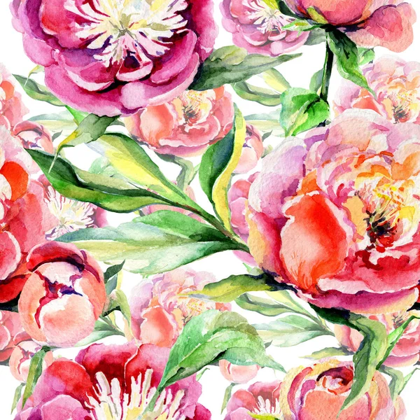 Kır çiçeği peony çiçek deseni suluboya tarzında.