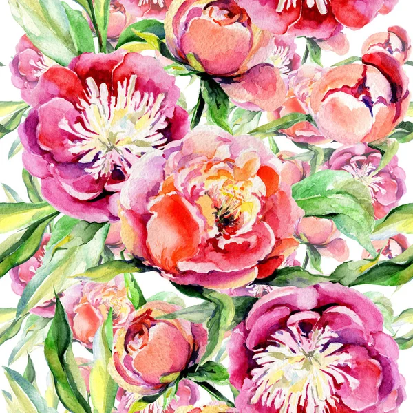 Kır çiçeği peony çiçek deseni suluboya tarzında. — Stok fotoğraf