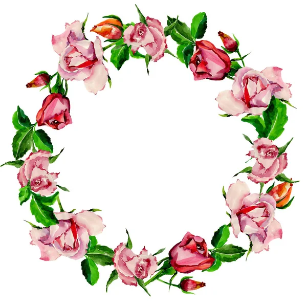 Wildflower rose flower wreath in a watercolor style. — Stock Photo, Image