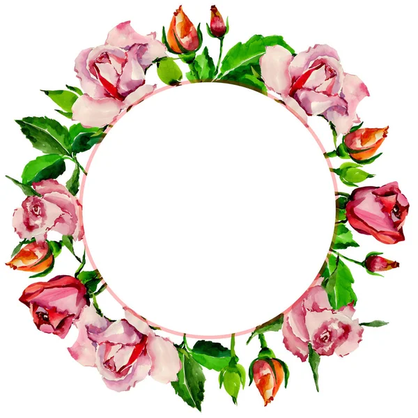 Kır çiçeği gül çiçek çerçeve suluboya tarzında.