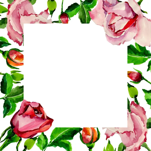 Kır çiçeği gül çiçek çerçeve suluboya tarzında.