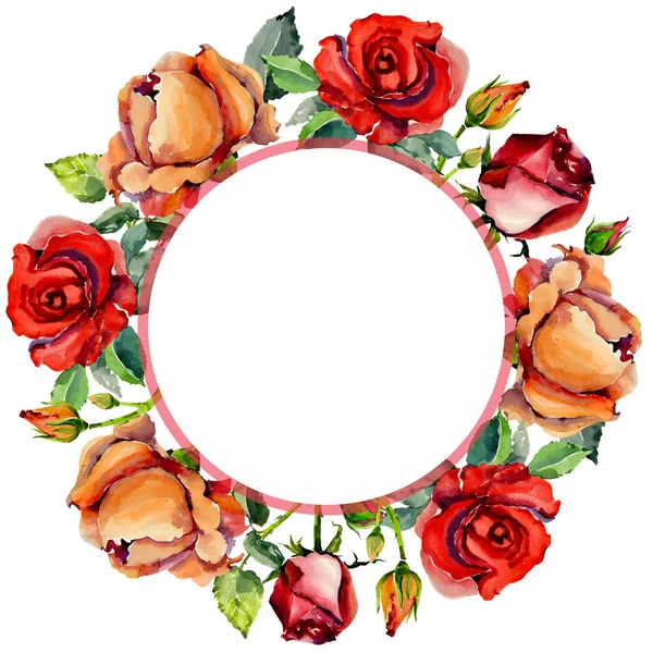 Vadvirág Rózsa virág keret akvarell stílusú. — Stock Fotó
