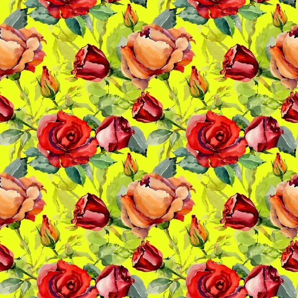 Kır çiçeği gül çiçek deseni suluboya tarzında.