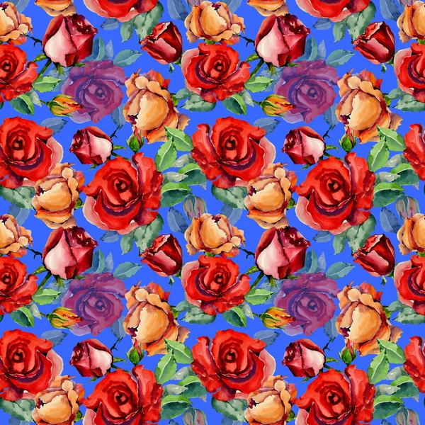 Kır çiçeği gül çiçek deseni suluboya tarzında.